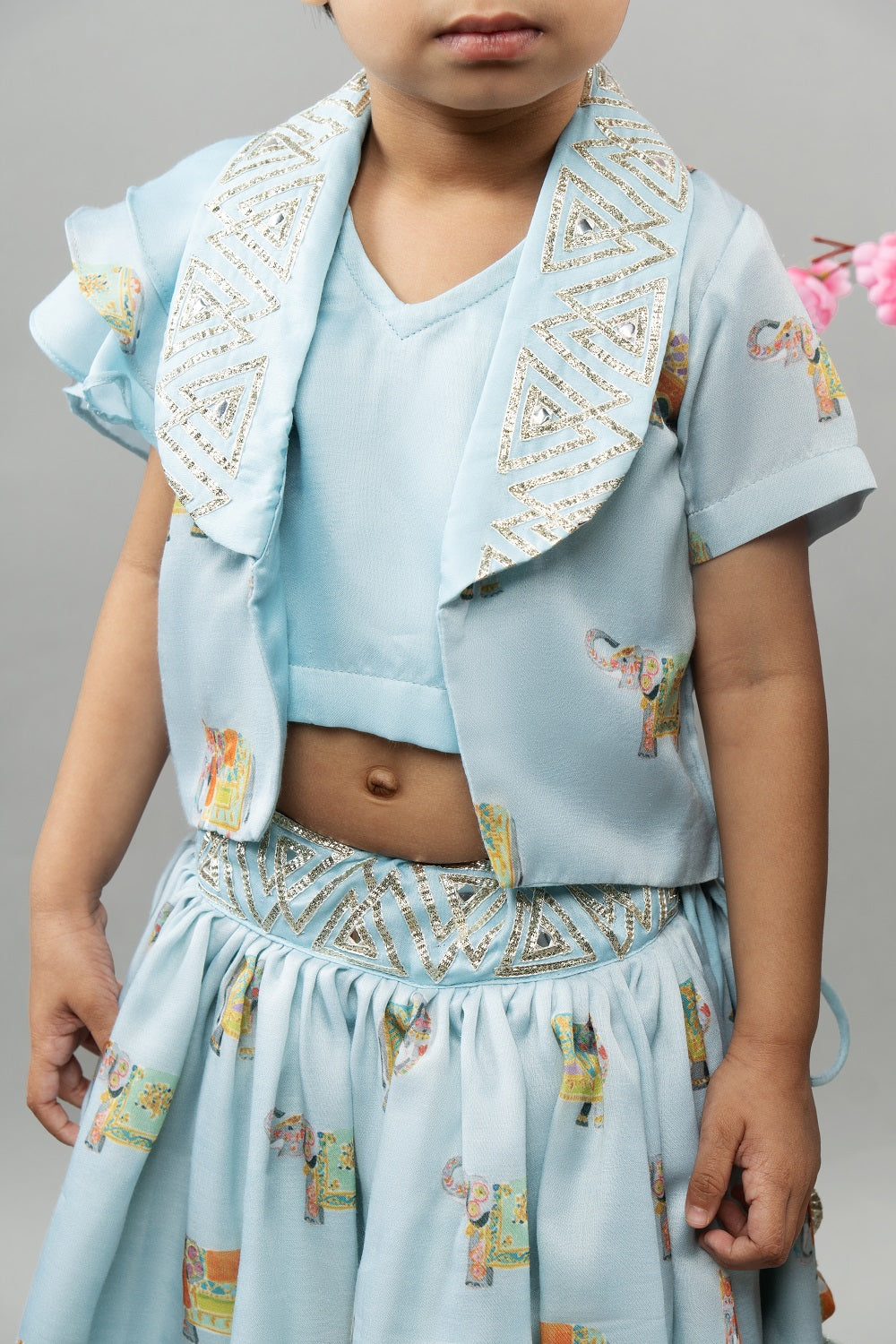 Powder Blue Elephant Print Jacket With Ghagara Set