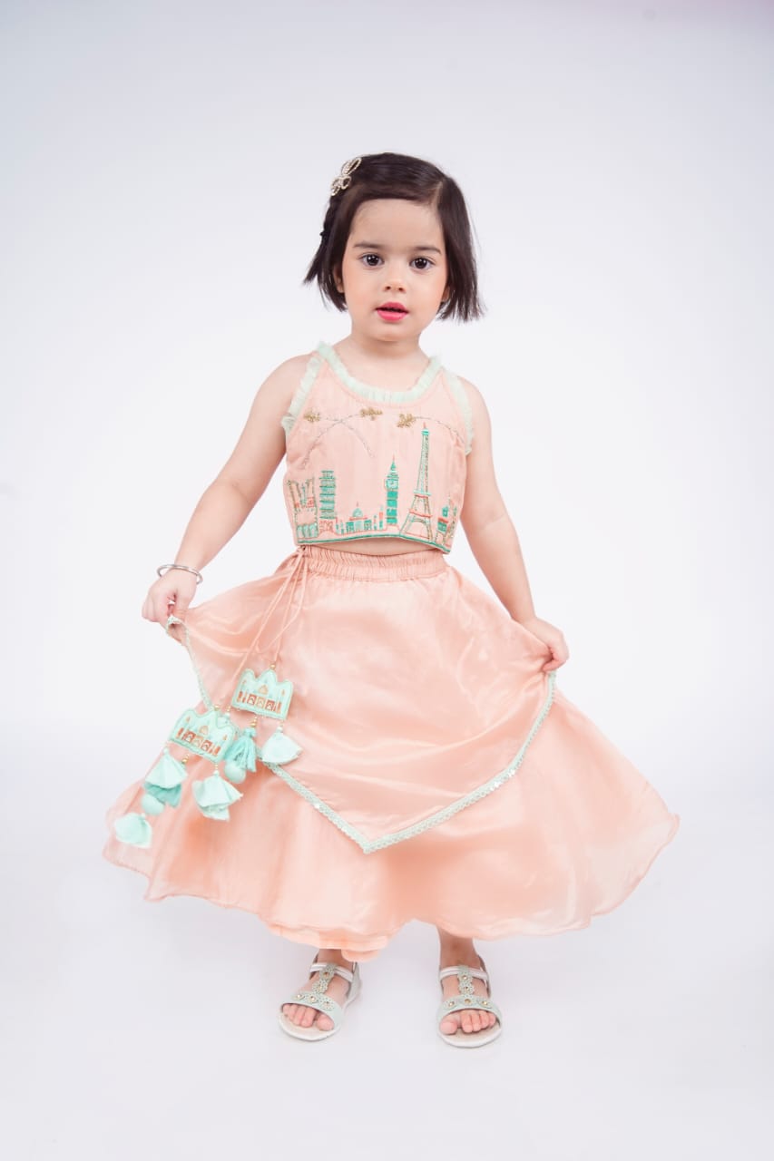 Onion Pink Travel Theme Hand Embroidered Blouse With Double Layer Ghagara Set