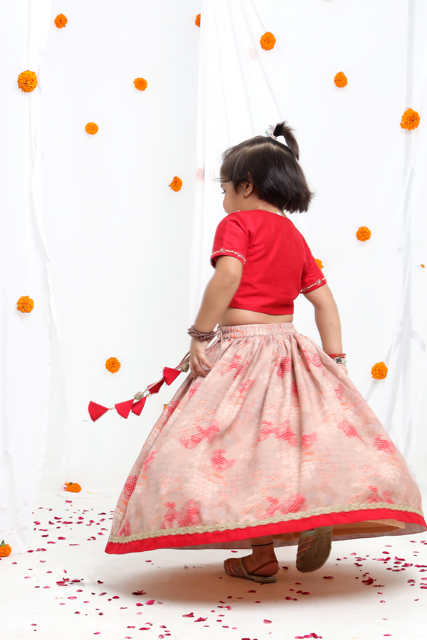 Redish Hand Embroidered Blouse With Beidge Geometrical Printed Ghagara Set