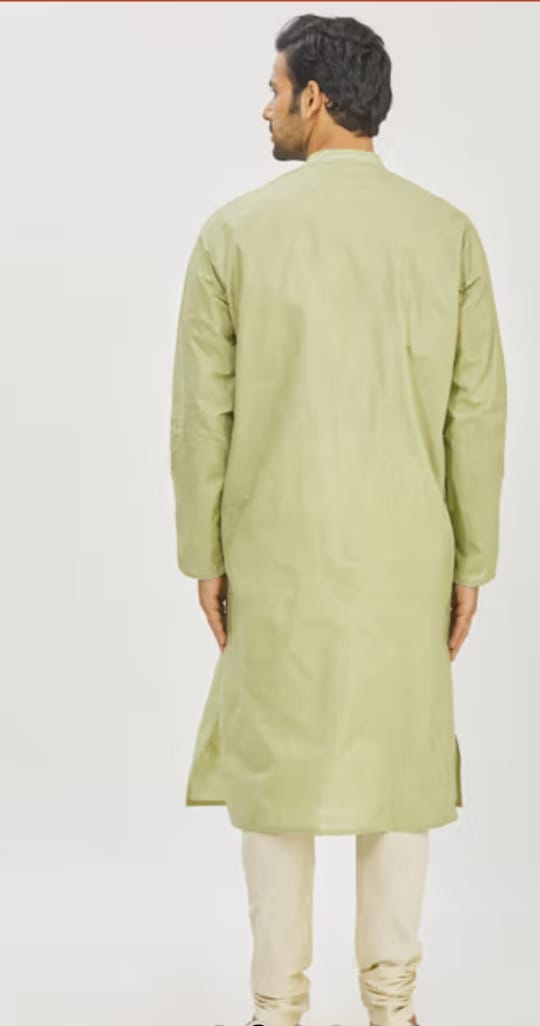 Pista Green Bird Embroidery Kurta Set