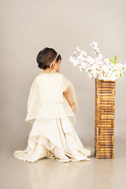 Fawn Embroidered Blouse With Cape With Ghagara Set