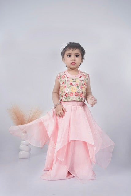 Powder Pink Floral Hand Embroidered Blouse With Asymmetrical Ghagara Set