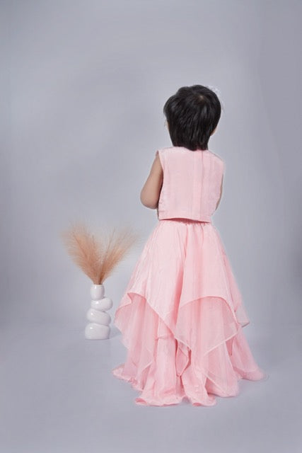 Powder Pink Floral Hand Embroidered Blouse With Asymmetrical Ghagara Set