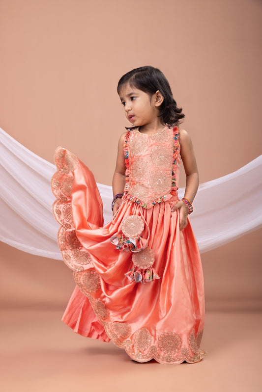 Peach Cord And Zari Embroidery Blouse With Embroidered Ghagara Set