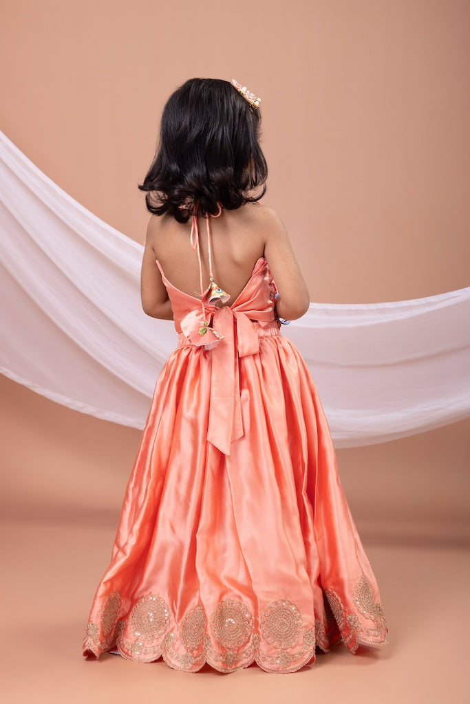 Peach Cord And Zari Embroidery Blouse With Embroidered Ghagara Set