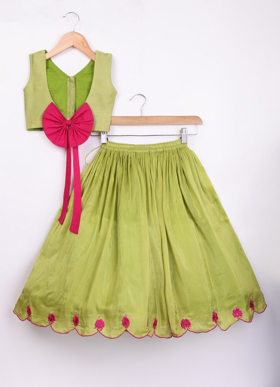 Parrot Green Heavy Zari And Thread Embroidered Blouse With Ghagara Set