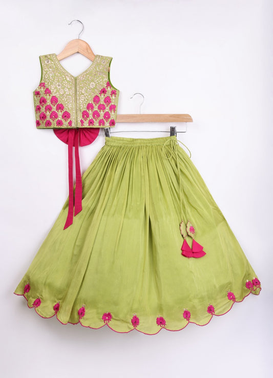 Parrot Green Heavy Zari And Thread Embroidered Blouse With Ghagara Set