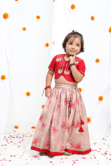 Redish Hand Embroidered Blouse With Beidge Geometrical Printed Ghagara Set