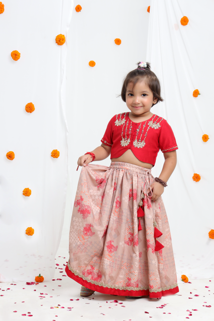 Redish Hand Embroidered Blouse With Beidge Geometrical Printed Ghagara Set