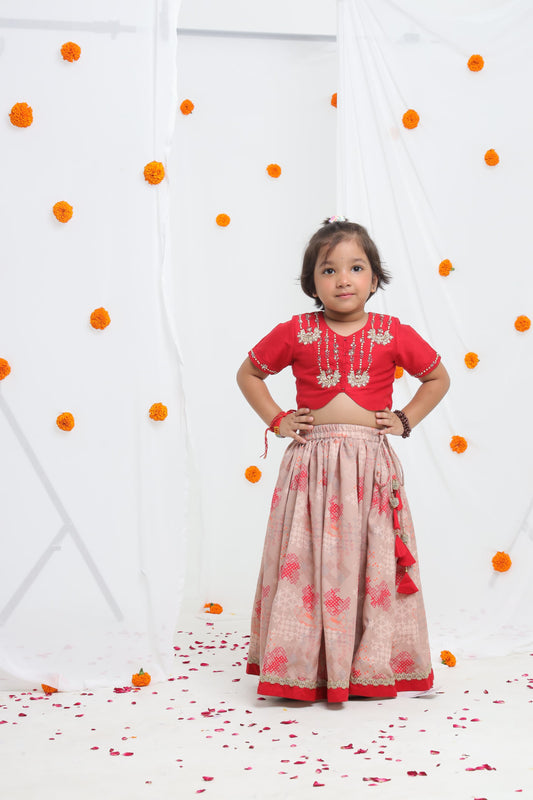 Redish Hand Embroidered Blouse With Beidge Geometrical Printed Ghagara Set
