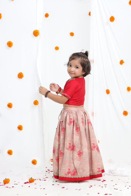 Redish Hand Embroidered Blouse With Beidge Geometrical Printed Ghagara Set