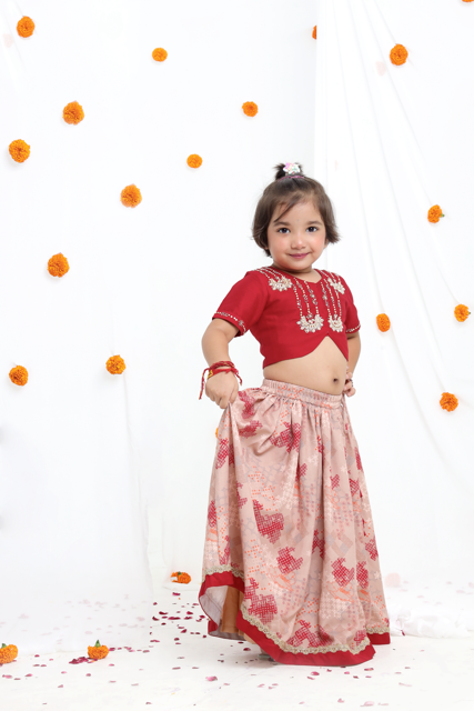Redish Hand Embroidered Blouse With Beidge Geometrical Printed Ghagara Set