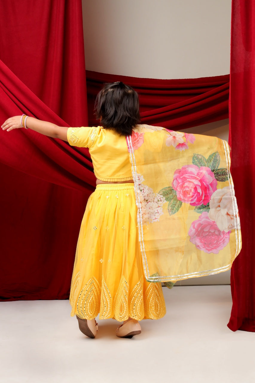 Yellow Mirror Embroidered Blouse With Mirror Embroidered Ghagara Set
