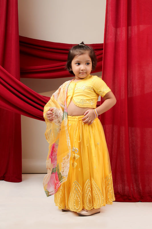 Yellow Mirror Embroidered Blouse With Mirror Embroidered Ghagara Set