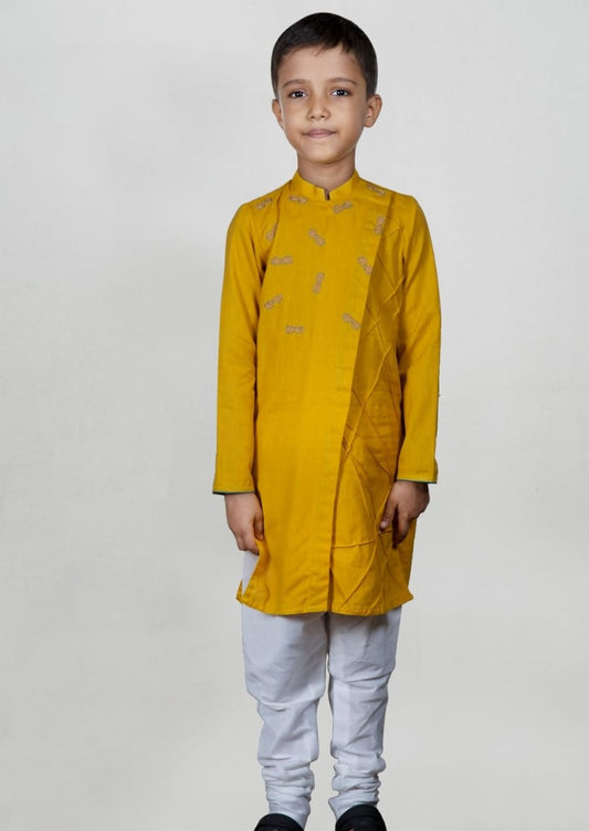 Mustard Goggles Embroidery And Pintux Kurta Set